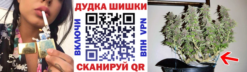 Бошки Шишки сатива Курчатов